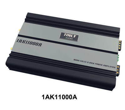 1AK11000A